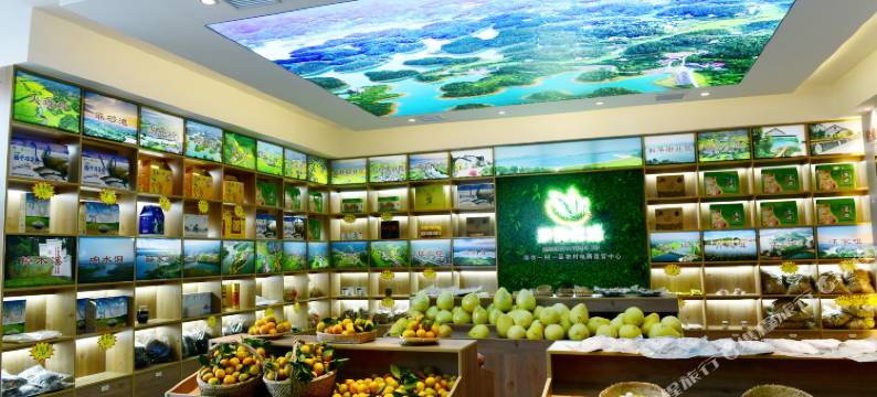 洈水风景区樟木溪民宿图片