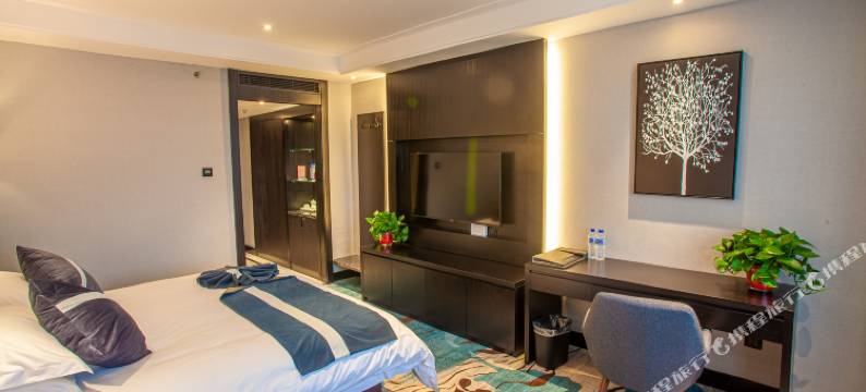 舒城舒怡国际大酒店图片