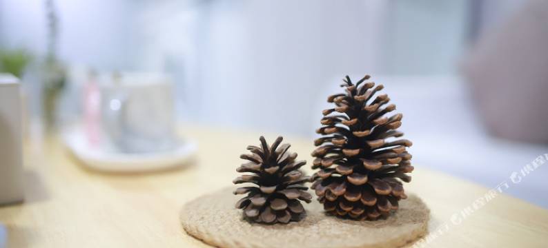 福州乐乐窝北欧轻奢风影院公寓图片