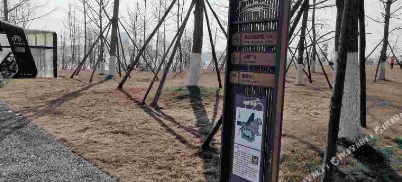 成都银杏公寓图片