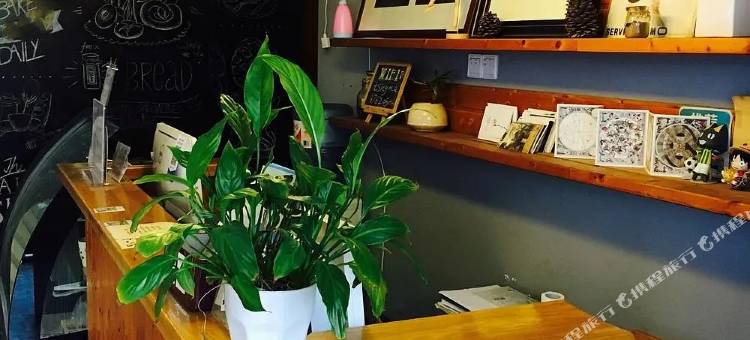 东山春光小岛民宿图片