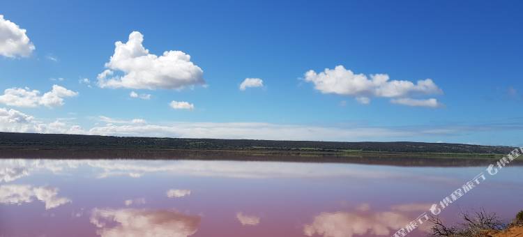 杰拉尔敦内苏托酒店(Nesuto Geraldton)图片