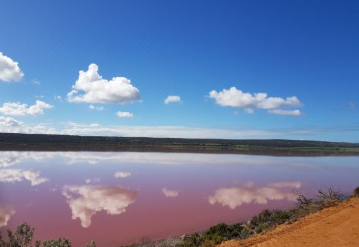 Nesuto GeraldtonHotel Overview
