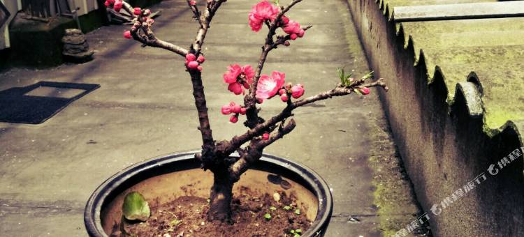 开蔓酒店(宜昌CBD购物中心解放路步行街店)图片