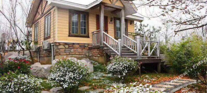 枣庄温泉小镇图片