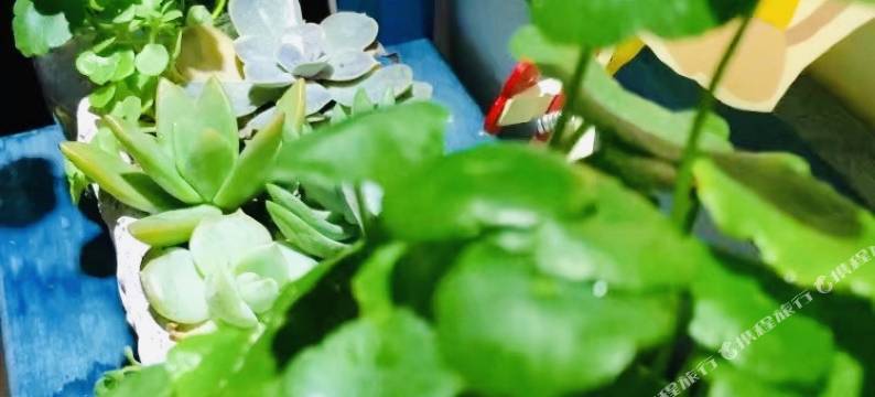 泊君酒店(重庆三峡广场步行街店)图片