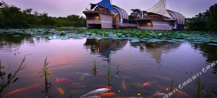 深圳海上田园酒店图片