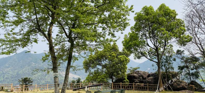 南雁会文谷民宿图片