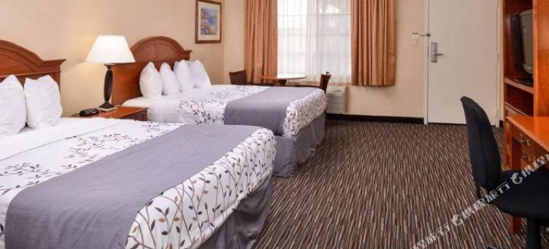 机场公园贝斯特韦斯特酒店(Best Western Airpark Hotel - Los Angeles LAX Airport)图片