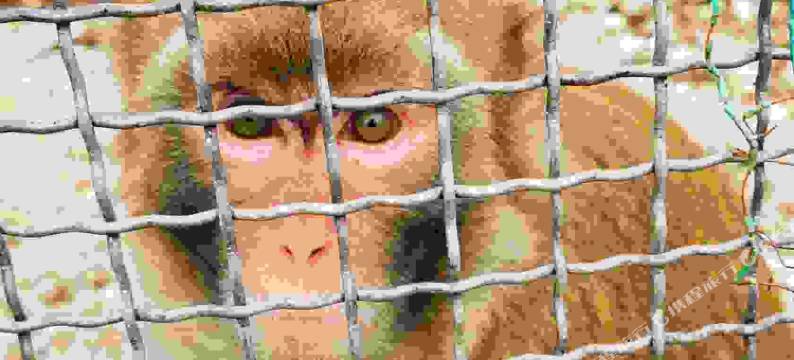 宽甸北方周庄度假村图片