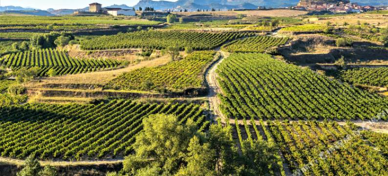 美酒与灵魂套房酒店(Wine & Soul Suites)图片