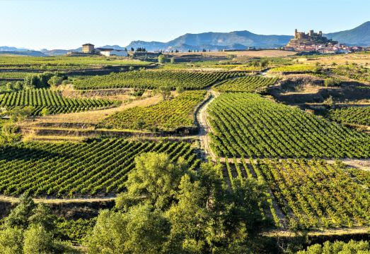 Wine & Soul SuitesHotel Overview