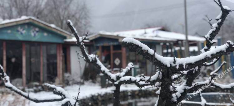 林芝找个地儿待着民宿(林芝机场店)图片