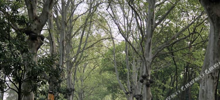 城市优品酒店(武汉大学店)图片