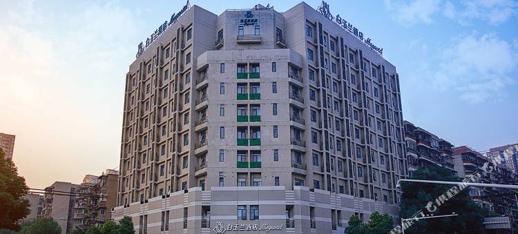 白玉兰酒店(武汉武商梦时代宝通寺地铁站店)图片