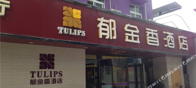 房县郁金香酒店图片