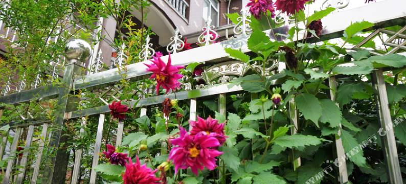 莫干山刘家小院图片