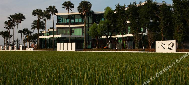 宜兰水岸枫林图片