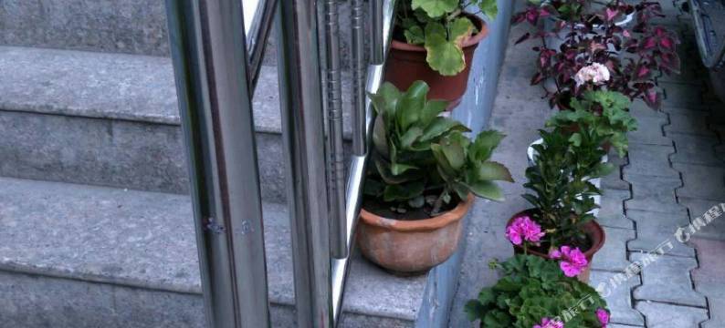 伊宁泽汇宾馆图片