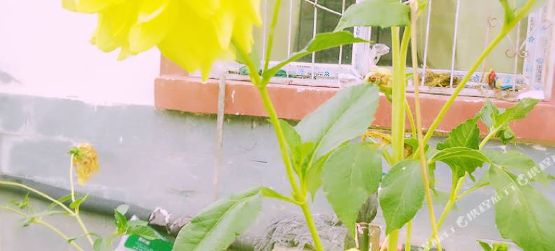 黑水冰山行者客栈图片