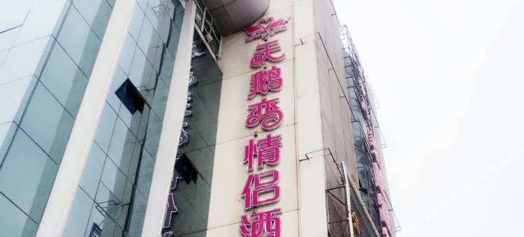 西宁天鹅恋情侣酒店图片