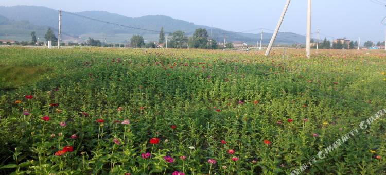 长白山福地假日宾馆图片