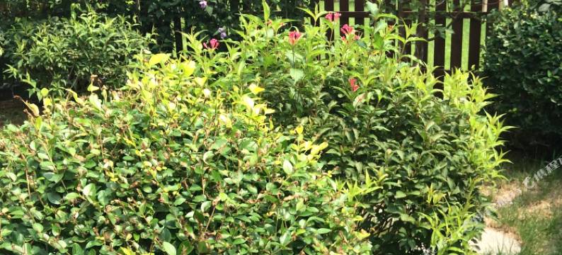 昌黎爱妤风情酒店式公寓图片