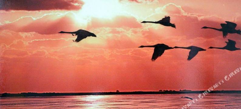 荣成鑫马宾馆图片