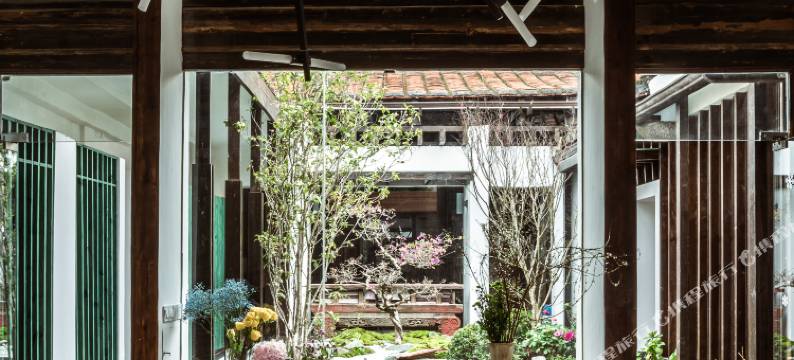 厦门紫云乡民宿图片