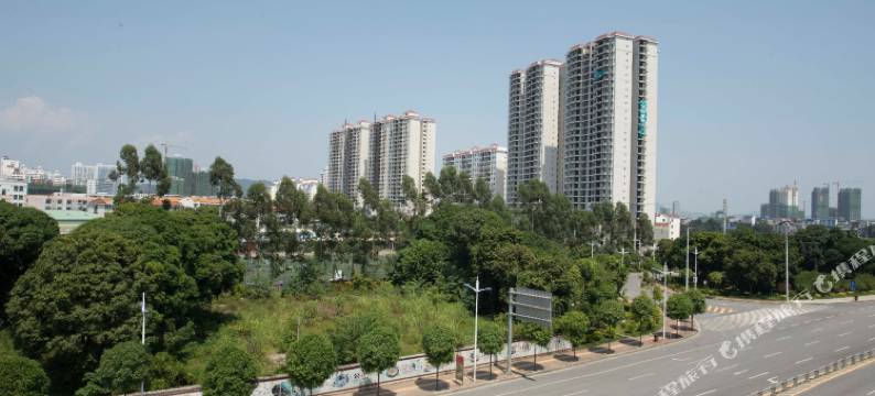 百色雅莱丽酒店图片