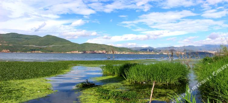 大理花海舍海景客栈图片