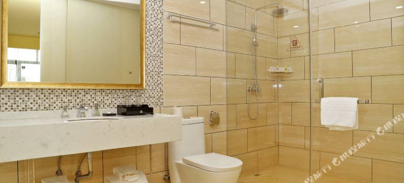 铂诗曼酒店(深圳龙岗南联地铁站店)图片