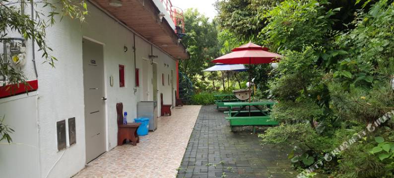 梦幻森林旅馆(Dreaming Forest Pension Seogwipo)图片