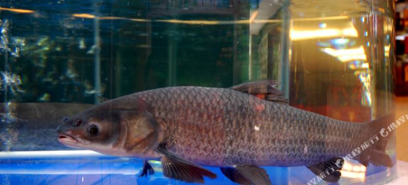 常德桃源天悦正友大酒店图片