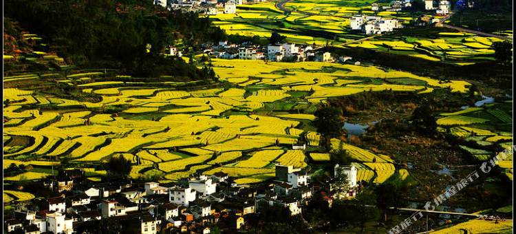 婺源新农民客栈图片