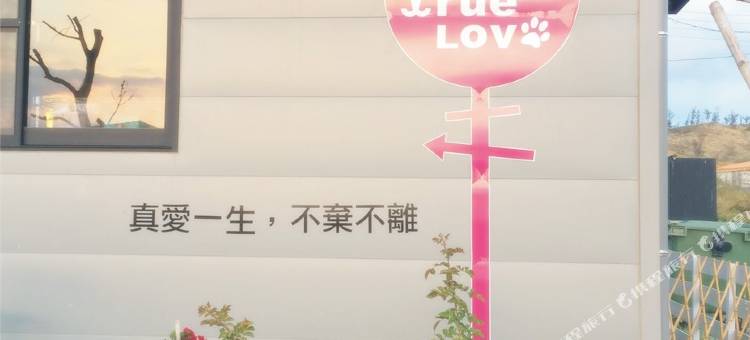 屏东宠爱月台民宿图片