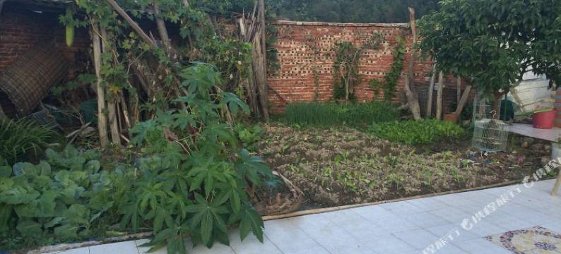 南雄杏林小驻图片