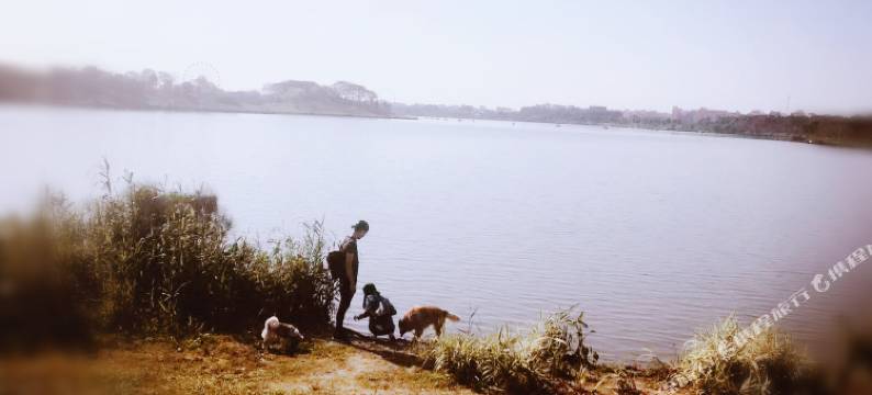 广州唯美温南阳文民宿图片