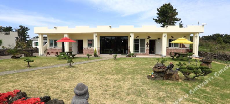 济州岛Farmtree民宿(Seogwipo Farm Tree Pension)图片