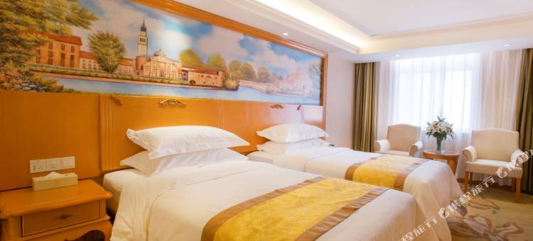 维也纳酒店(西安钟楼店)图片