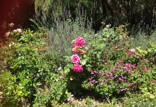 Lorne Bay View MotelHotel Overview