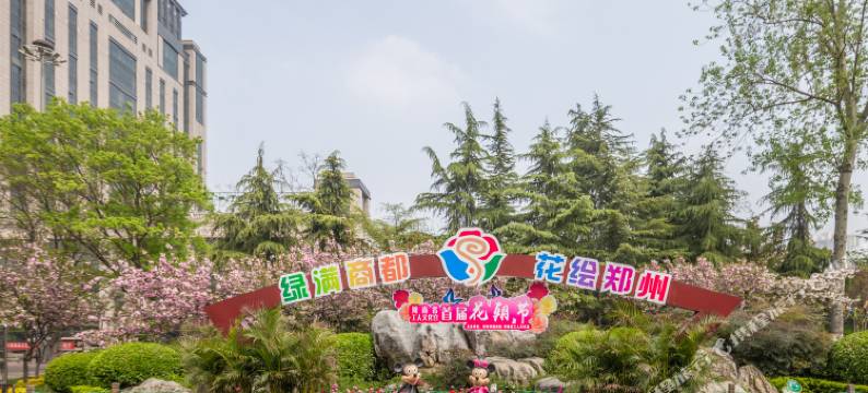 郑州闹中取静小居室普通公寓图片