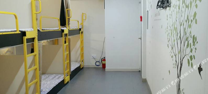 明洞梦想旅馆(Dream Guesthouse)图片