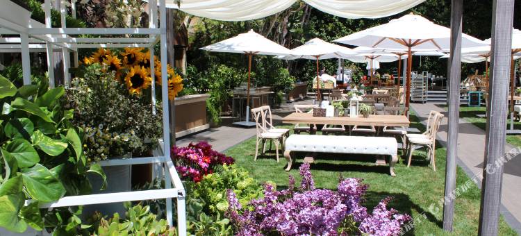 洛杉矶比佛利山庄四季酒店(Four Seasons Hotel Los Angeles at Beverly Hills)图片