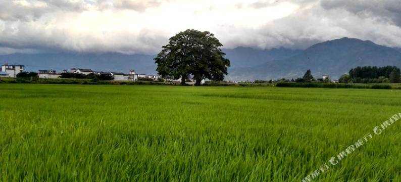 大理慢时光客栈图片