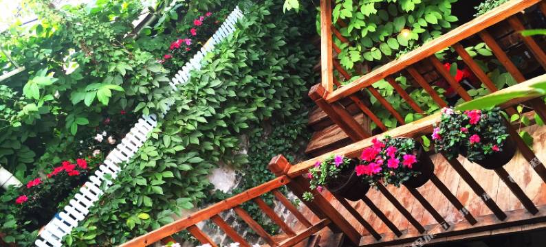 黄姚一步之姚客栈图片