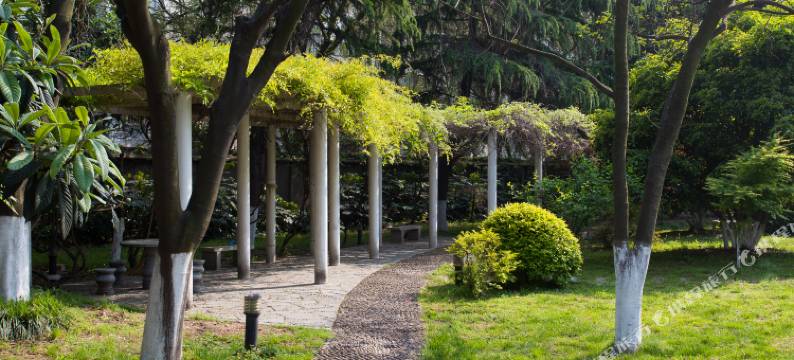 南京秦淮河饭店图片