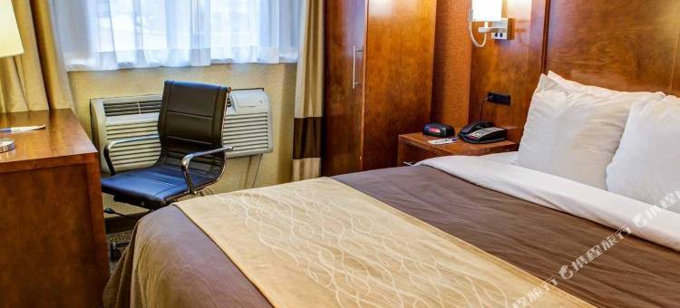 纽约时代广场西温德姆华美达酒店(Ramada by Wyndham New York Times Square West)图片