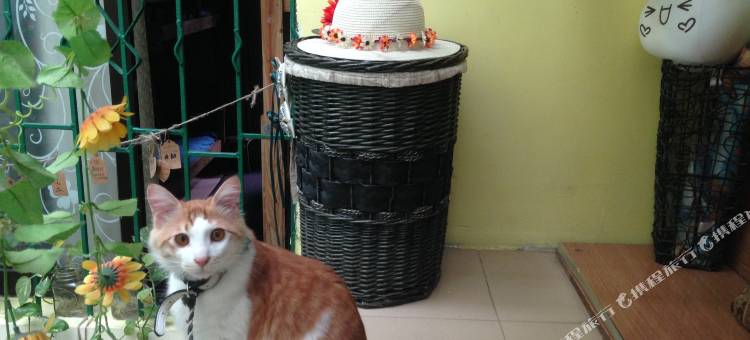 厦门旧时光青年旅舍图片