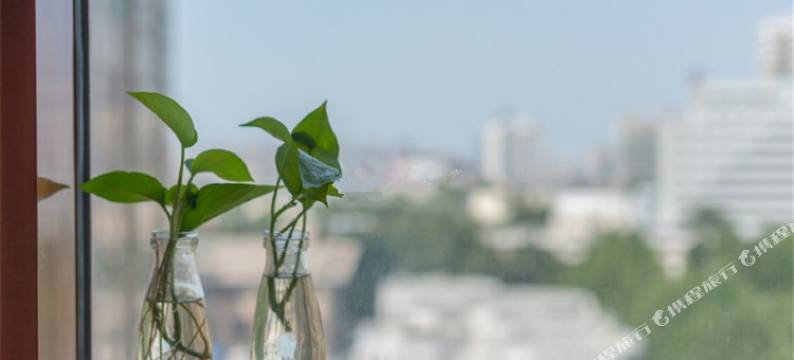济南诚基中心豪华复式私家住宅公寓图片